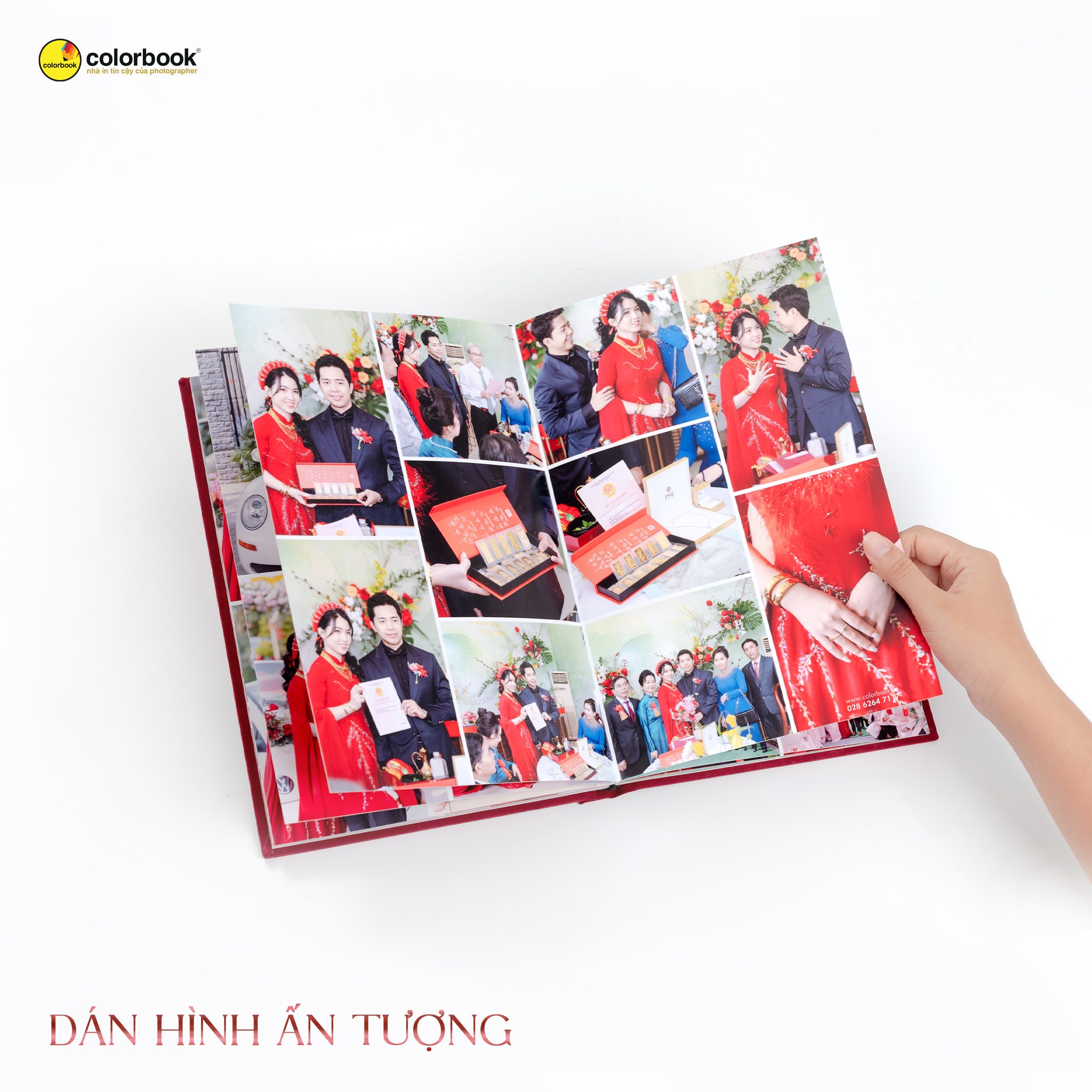 Hình ảnh dàn trang ấn tượng