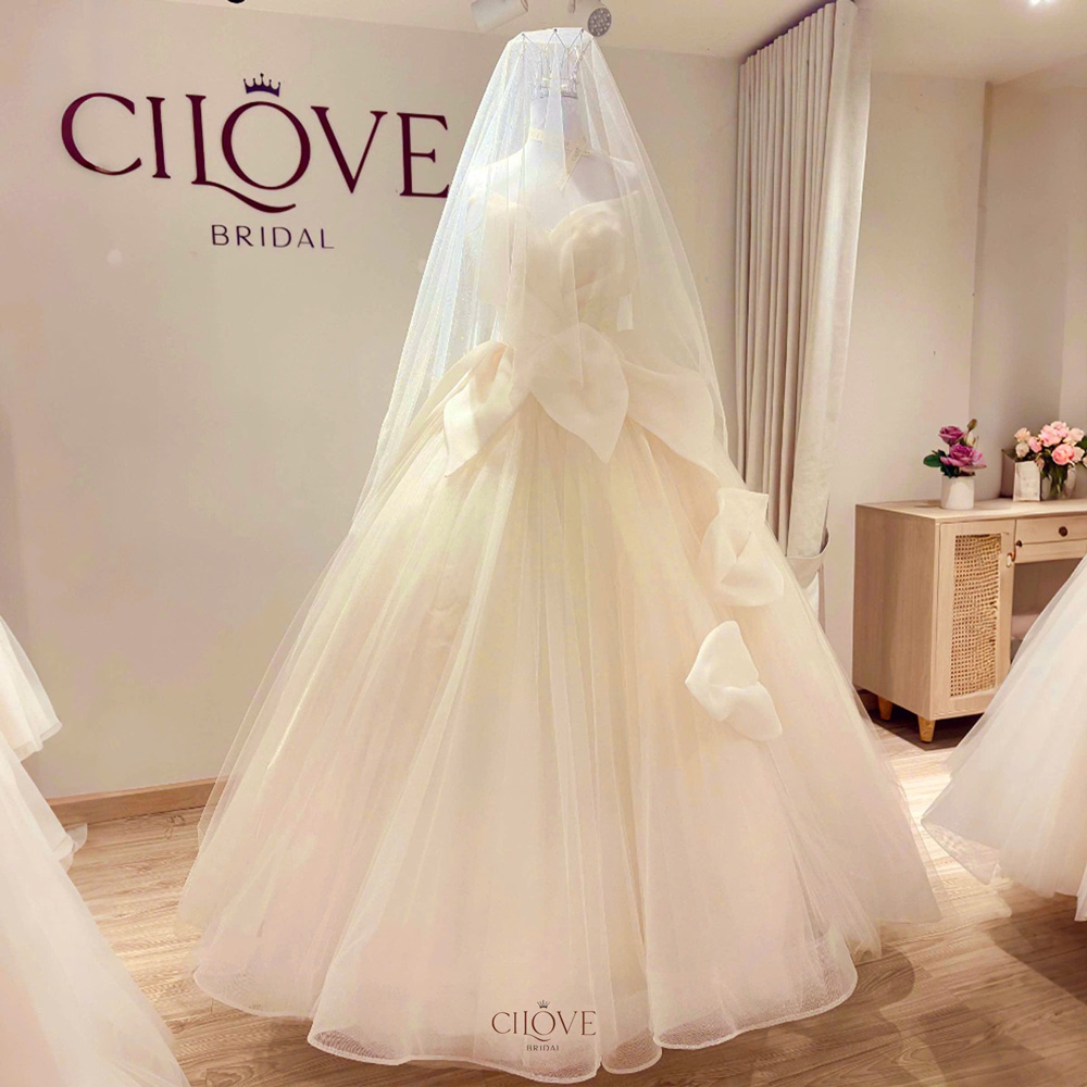 Váy cưới Nhập tại Cilove