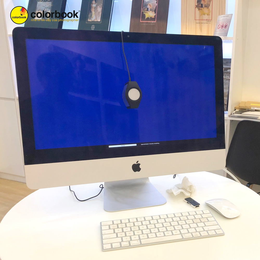 Nhân viên Colorbook kiểm tra hiển thị màu sắc cùng khách hàng trên iMac.